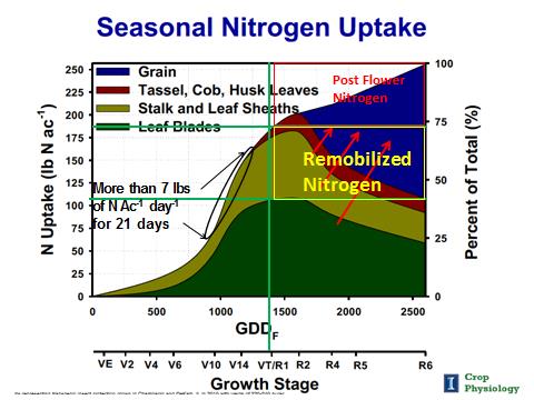 Corn Nutrient Uptake Chart