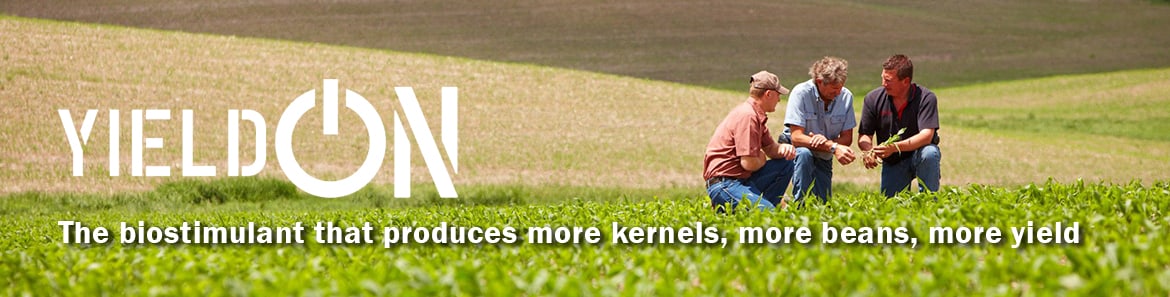 YieldON - the biostimulant that produces more kernals, more beans, more yield